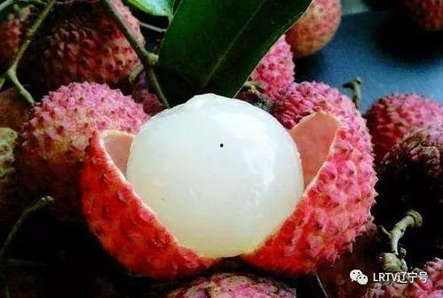 荔枝娱乐圈吃瓜爆料