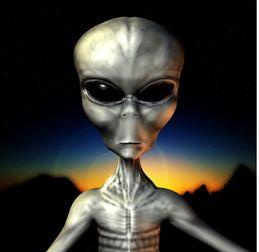 外星人陈山一家的照片