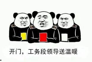 职工表情包,趣味横生的职场生活缩影